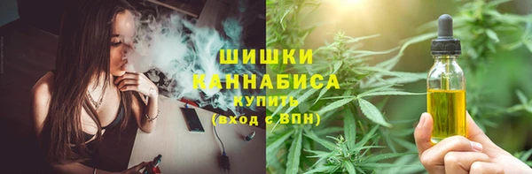spice Алзамай