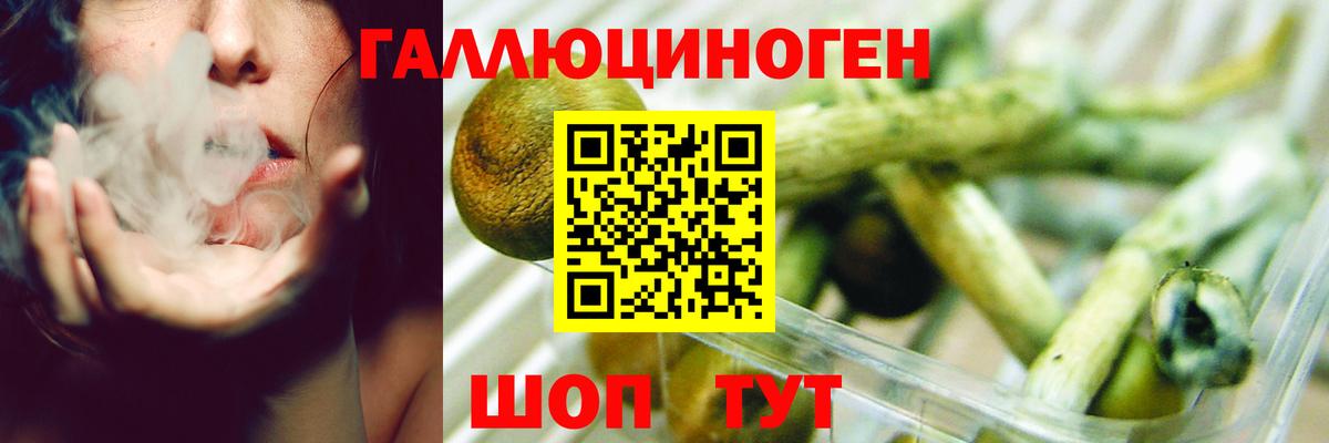 Галлюциногенные грибы Psilocybine cubensis  Галлюциногенные грибы прущие грибы  Вход с VPN  Пушкино 